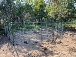 Hog trap in the Texas hill country